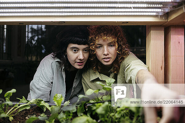 Smiling lesbian couple exploring plants in garden center