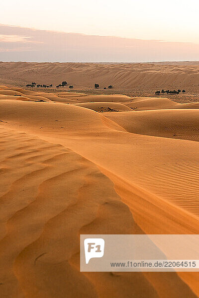 Scenic view of the vast sand dunes in Wahiba Sands  Oman at sunset