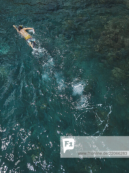 Man joyfully snorkeling in crystal-clear ocean waters  surrounded by colorful marine life on an exhilarating underwater exploration