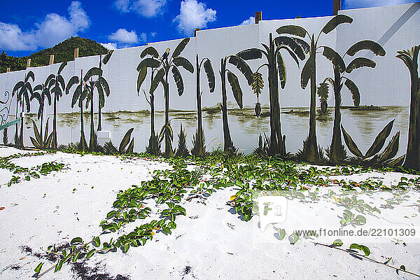 Antigua and Barbuda  West Indies  Antigua Island  construction of a new hotel on the beach