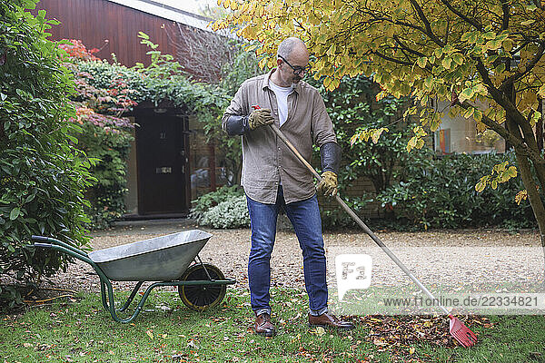 Mature man raking leaves in garden at autumn