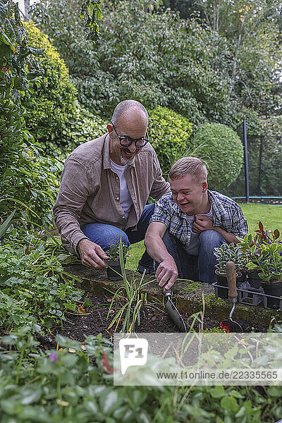 Mature father with adult son planting in garden