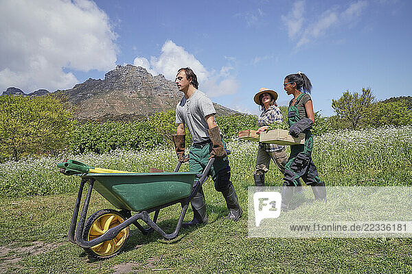 Group of employees working in garden