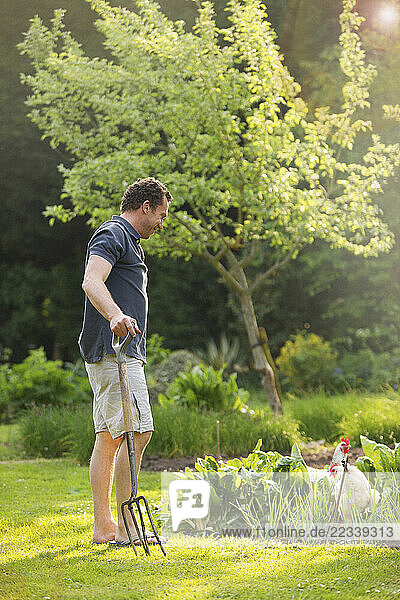 Man Gardening while chickens roaming