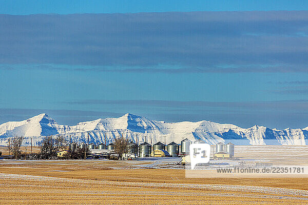 Large metal grain bins in a stubble field with snow-covered mountains with blue sky and clouds in the background  West of High River  Alberta; Alberta  Canada