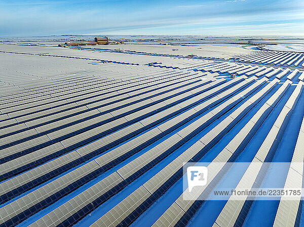 Aerial view of a large solar farm in the winter with blue sky and clouds  North of High River  Alberta; Alberta  Canada