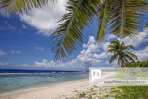 Scenic coastal view with palm trees at Obyan Beach  Saipan  Northern Mariana Islands. The island of Tinian can be seen on the horizon; Obyan Beach  Saipan  Northern Mariana Islands  Micronesia