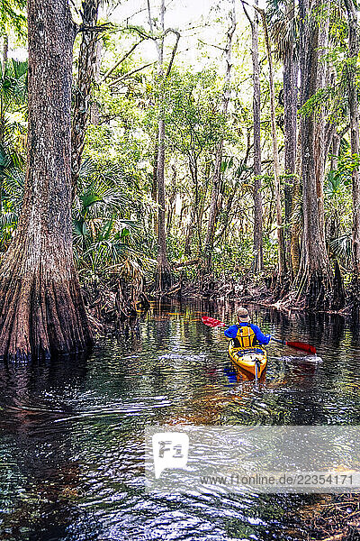Man kayaking in a tranquil waterway with trees in Florida  USA; Jupiter  Florida  United States of America