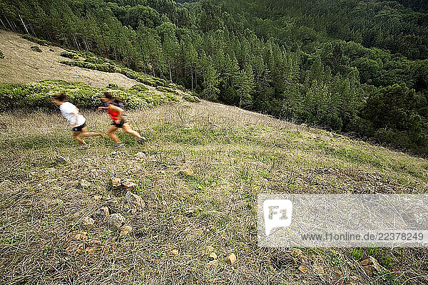 Lynn Schottklies and Nadia Costa trail running in the East Bay Hills above Berkeley and Oakland  California.