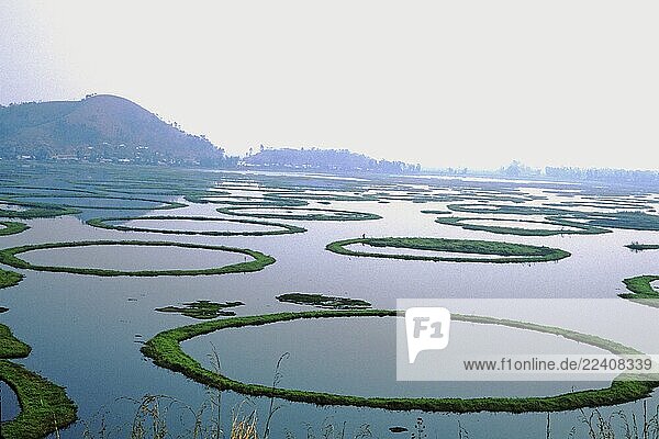 Asian,Color,Color,Formats,Horizontal