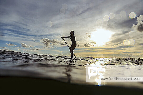 Female SUP surfer at sunset  Bali  Indonesia