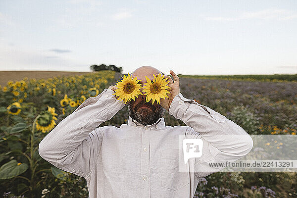 Playful man covering his eyes with sunflowers in a field