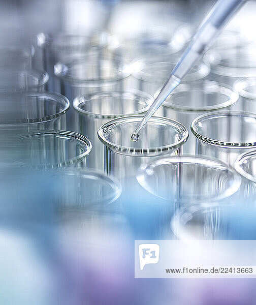 Pipette adding sample to test tubes in a laboratory setting