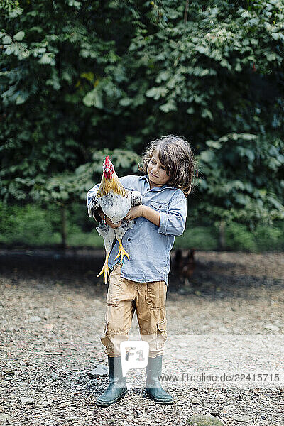 Boy holding chicken on an organic farm