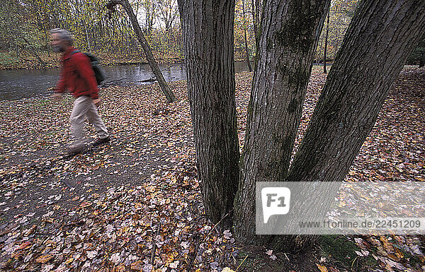 A man hiking in the woods on the Appalachian Trail in the fall.