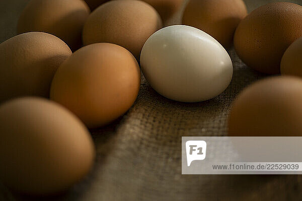 Studio shot of fresh brown eggs on burlap