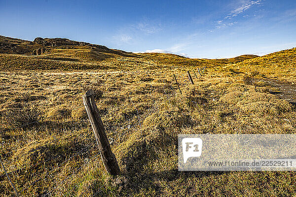 Grassy field?in Torres Del Paine National Park