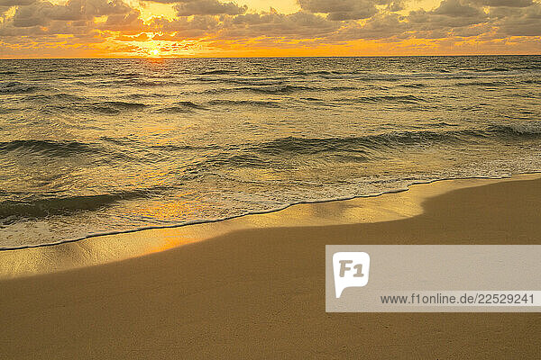 Sandy beach at sunrise