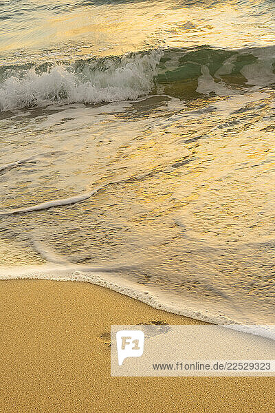 Footprint in sand with ocean shoreline at sunset