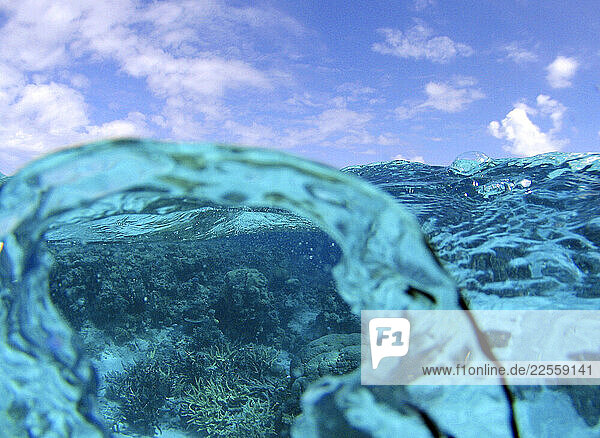 Surface and underwater vision on the Great Barrier Reef on a sunny day.