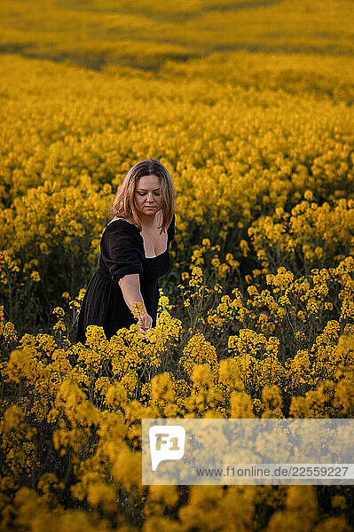 Female agronomist  farmer examining blossoming canola  rapeseed field