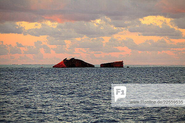 Shipwreck aground on Middleton Reef is a coral reef in the Tasman sea.