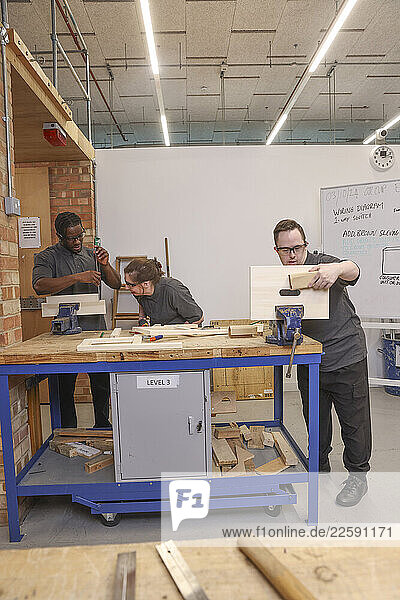 Disabled people at workshop