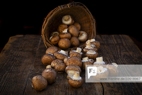 Brown Agaricus bisporus mushrooms spilling from a willow basket onto a wooden table