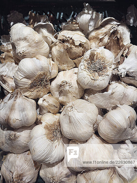 Close up still life bunch of freshly harvested garlic bulbs