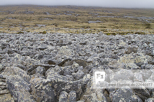 View of the famous rock runs outside Stanley  the capital and only city in the Falkland Islands
