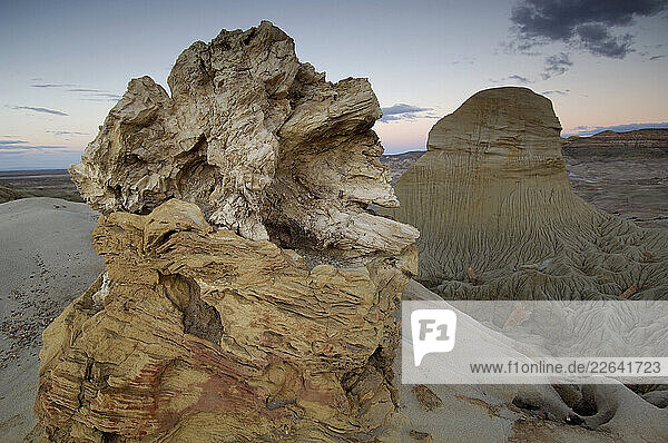 Petrified Wood  Bosque Petrificado  Monumento Natural Provincial  Sarmiento  Patagonia  Argentina