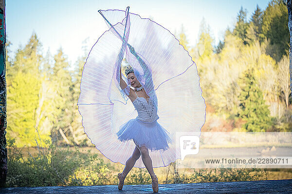 Ballet dancer in white tutu poses gracefully outdoors with sheer fabric  forest backdrop. WA  USA
