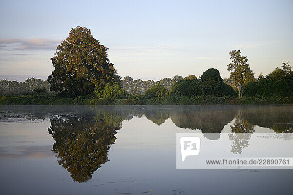 Tranquil lake reflecting trees under a blue sky at dawn. Mecklenburg Lake Plateau  Germany