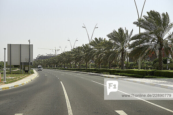 Palm-lined street with lush green trees on a sunny day in an urban setting. Abu Dhabi  UAE