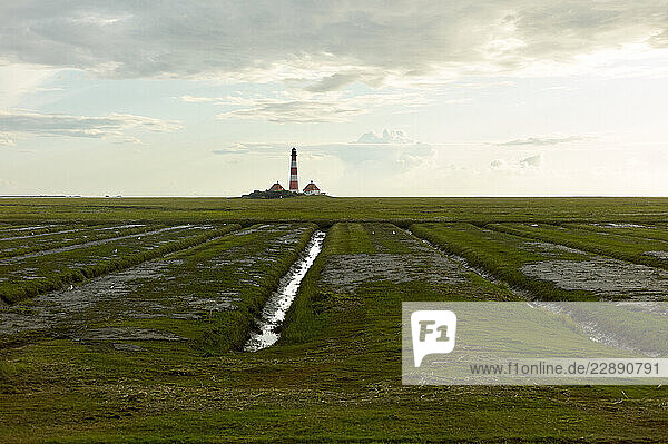 Scenic view of a lighthouse across vast grassy marshlands under a cloudy sky. North Sea  Germany