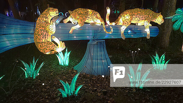 Asian Lantern Festival  Central Florida Zoo  United States of America