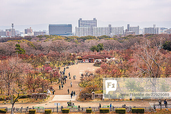 Overlooking the winter park Forest of Memorial Trees  LSsakajLTkLTen  Osaka Castle  Osaka  Kansai  Japan