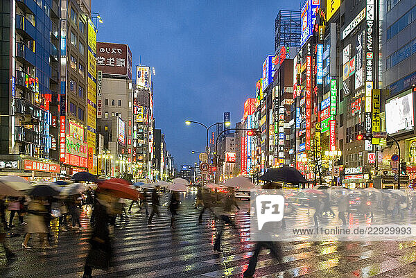 Shinjuku district illuminated in the rain at dusk   Tokyo  Japan