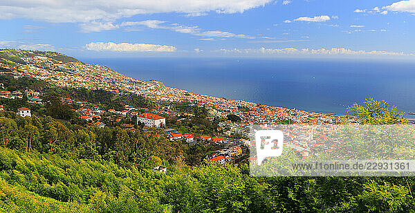 South coast near Funchal  Madeira