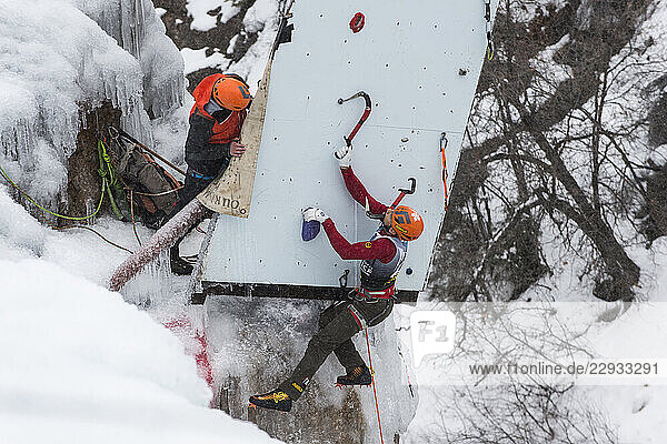 Male ice climber hooking ice axe onto hold near top of competition route  Ouray Ice Park  Colorado  USA