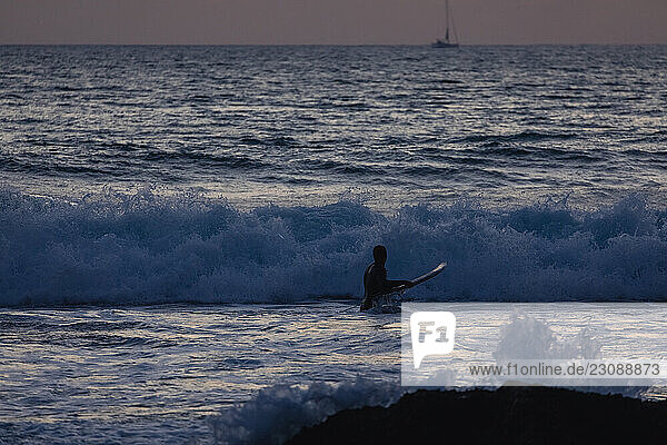 Surfer entering ocean at dusk in the algarve portugal