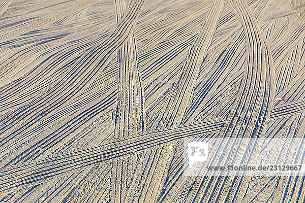 Middle East  United Arab Emirates  Dubai  car tracks in the sand