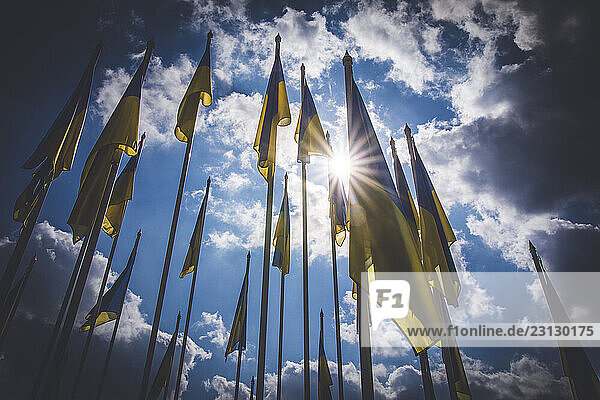 Ukrainian flags on cloudy sky background