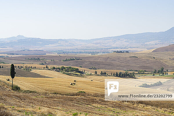 Typische toskanische Landschaft im Val d Orcia mit Hügeln  Bäumen  Feldern  Zypressen und Wirtschaftsweg im Herbst  Gladiator-Drehort  San Quirico d Orcia  Val d Orcia  Orcia-Tal  UNESCO-Weltkulturerbe  Provinz Siena  Toskana  Italien  Europa