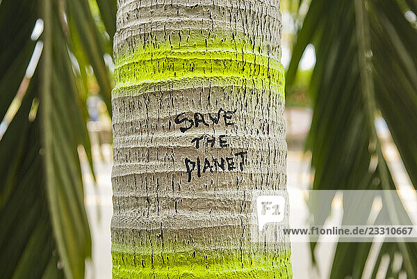 The words Save the Planet are written on the painted trunk of a palm tree on February 14  2010 in downtown Quepos  Costa Rica.