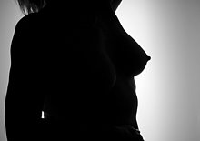 Breast silhouette stock photo. Image of undress, boobs - 14070474